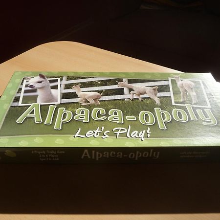 Apartament De Alpacaboerderij Bocholt Pokój zdjęcie