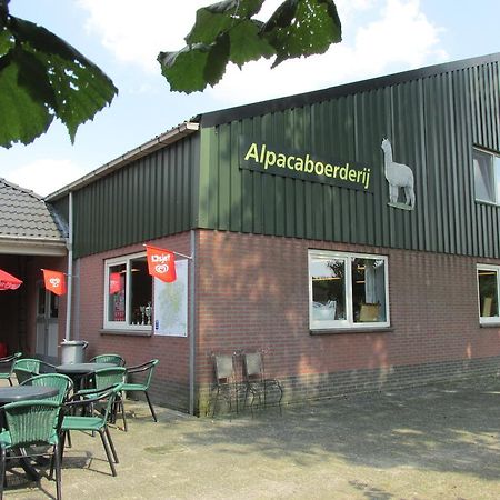 Apartament De Alpacaboerderij Bocholt Zewnętrze zdjęcie