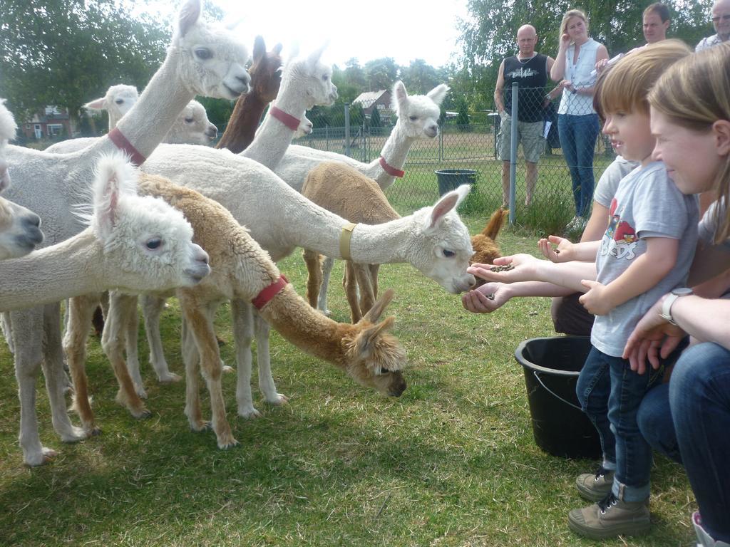 Apartament De Alpacaboerderij Bocholt Zewnętrze zdjęcie