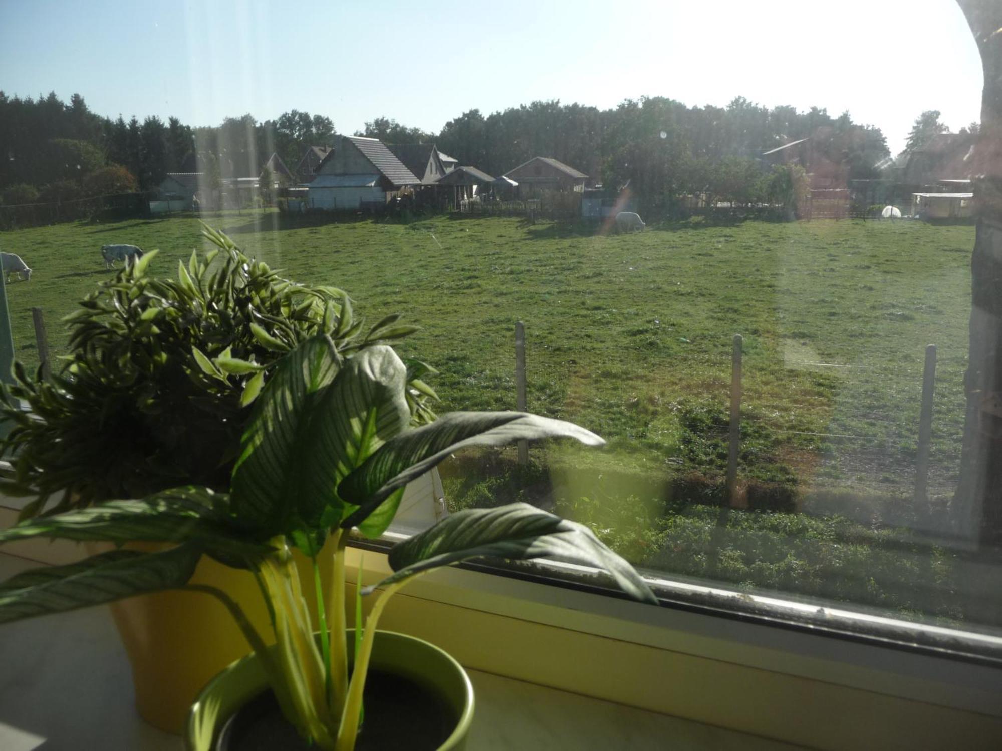 Apartament De Alpacaboerderij Bocholt Pokój zdjęcie