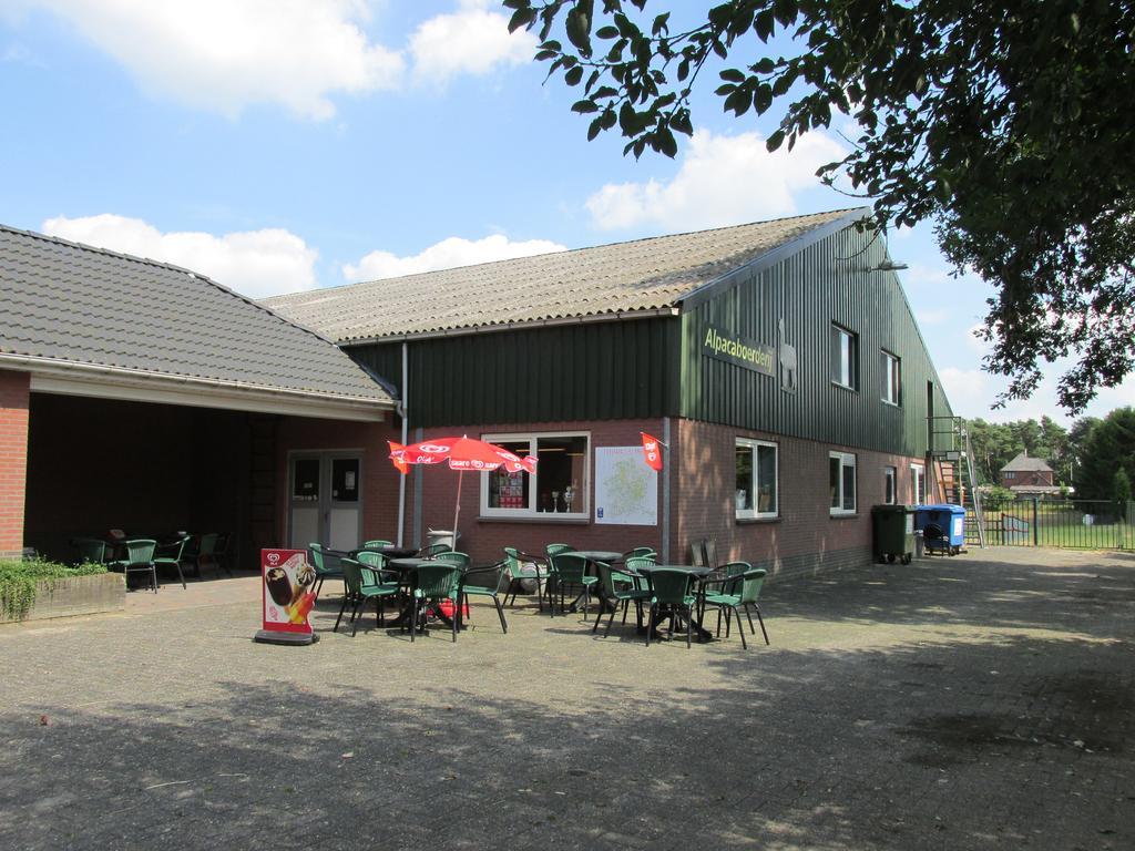 Apartament De Alpacaboerderij Bocholt Zewnętrze zdjęcie