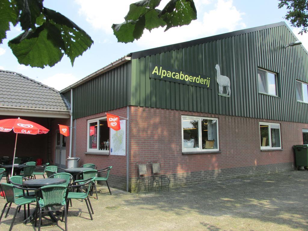 Apartament De Alpacaboerderij Bocholt Zewnętrze zdjęcie
